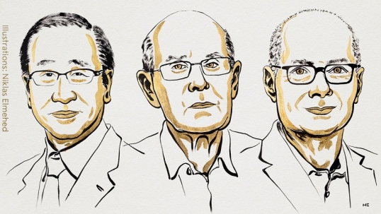 Entregan el premio Nobel de Química 2025