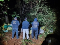 Misiones: secuestraron casi seis toneladas de marihuana