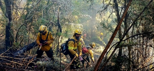 Más de 3500 hectáreas afectadas por el incendio en el parque Nacional Nahuel Huapi