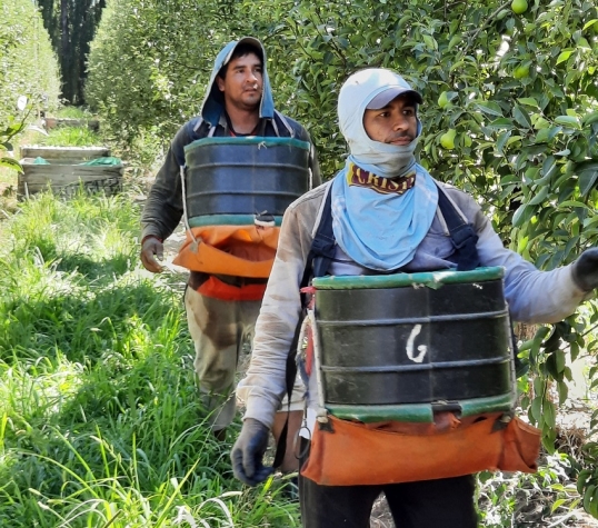 El RENATRE actualizó la Prestación por Desempleo