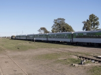 El Tren Patagónico habilitará la venta de pasajes para la temporada de invierno