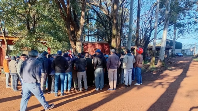 Corrientes: Denuncian a Forestal Tapebicuá por administración fraudulenta