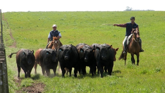 RENATRE: cronograma de pago de prestaciones por desempleo en noviembre 2024