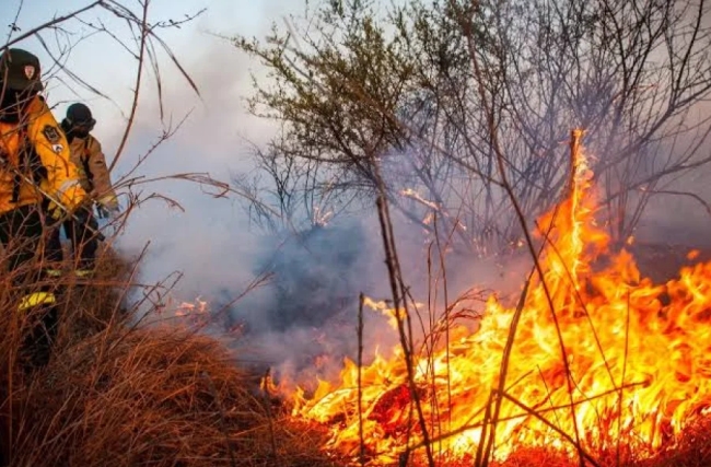 La Rioja: Ya se quemaron 900 hectáreas forestales y por el clima se complica el trabajo