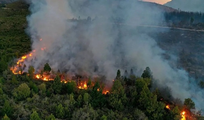 Pese al relato oficial que culpaba a mapuches: No hay detenidos por los incendios en la Patagonia