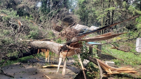 Córdoba: Las intensas tormentas dejaron importantes destrozos en varios municipios
