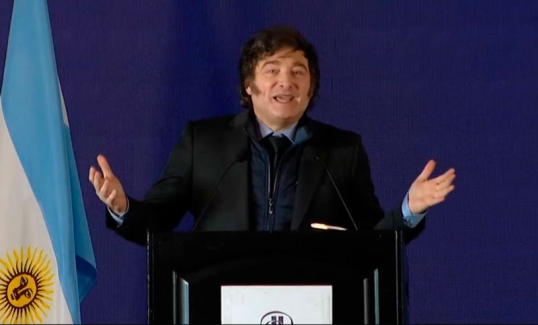 Milei reveló las tres condiciones que se deben dar para salir del cepo cambiario en 2025