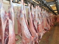 Argentina vuelve a exportar carne bovina a Japón