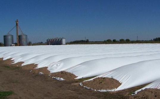 Milei: «Avísenle al campo que si tienen que liquidar liquiden ahora», en junio las retenciones suben