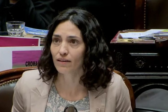 Paula Penacca: “Esta ley sólo plantea beneficios para las 12 empresas más grandes del país”