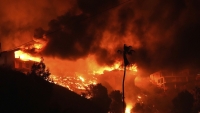 Biden declaró como "desastre mayor" la situación por los incendios en el estado de California