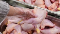 El consumo de pollo desplazó al de la carne vacuna en Argentina