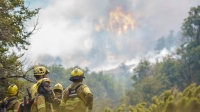 Neuquén: El incendio en el Parque Nacional Lanín ya consumió más de 15.000 hectáreas
