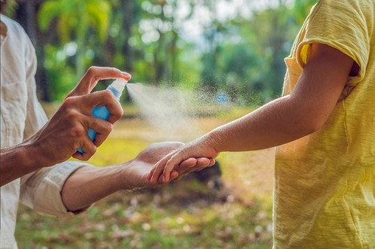 La ANMAT prohibió la venta de una marca de repelente y un insecticida
