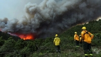Piden que “se regularice la situación laboral de quienes combaten el fuego”