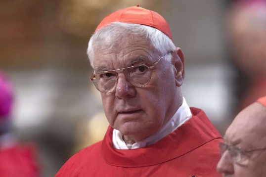 El Cardenal conservador 'enemigo' de Francisco pide que no elijan un «papa hereje»
