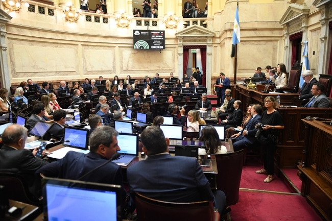 Con 42 votos positivos y 30 negativos, el oficialismo logró la media sanción: Cómo votaron los senadores