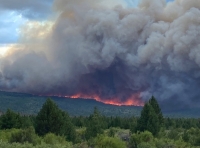 El Gobierno de Milei recortó el 78% los fondos para el combate de los incendios