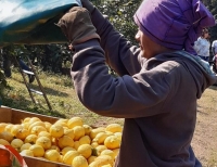 El RENATRE aumentó la Prestación por Desempleo a partir de marzo