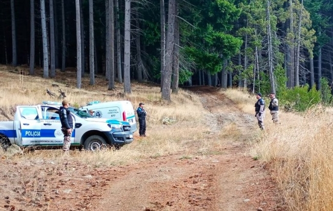 Chubut: Desmantelan aserradero ilegal en Lago Puelo