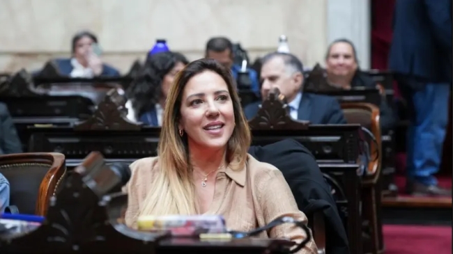 Diputados piden explicaciones por la contratación de Cancillería a la asociación dirigida por la esposa de Sturzenegger