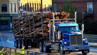 Guerra arancelaria: China suspende la importación de productos estadounidenses