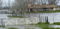 El Gobierno bonaerense prorrogó la emergencia agropecuaria en cuatro partidos afectados por inundaciones
