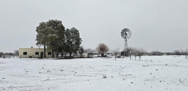 La Pampa: Nieve en varias localidades de la provincia