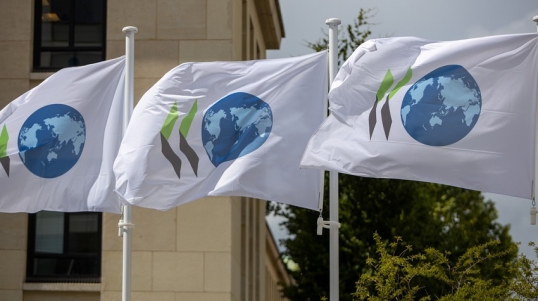 OCDE proyecta menor crecimiento y mayor inflación en Argentina