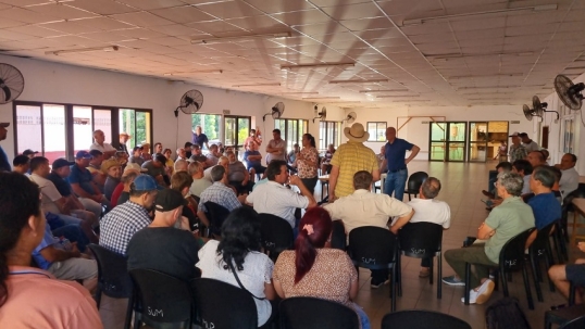 Misiones: Productores yerbateros realizan un cese de cosecha