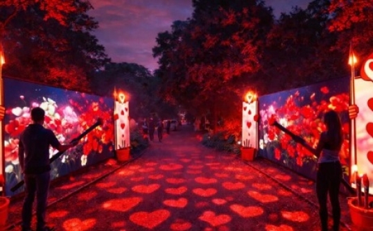 Maravillosa Alicia es la nueva experiencia inmersiva nocturna en el Jardín Botánico