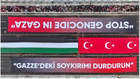 Multitudinaria manifestación en Estambul contra la agresión de Israel en Gaza