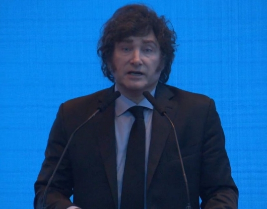 Milei confirmó que no se va a poder usar los dólares para pagar impuestos