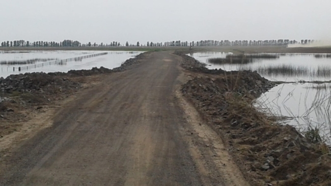 Inundaciones: Banco Nación anunció medidas de apoyo para afectados en 9 de Julio y la zona