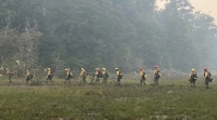 Incendio en Bariloche: Las llamas consumieron más de 1400 hectáreas de bosque nativo